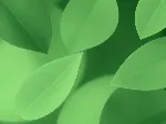 Abstract leaf pattern background